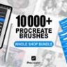Более 10000 кистей Procreate — Полный комплект магазина